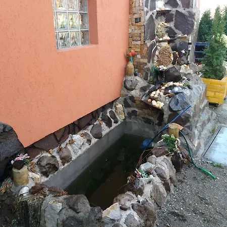 Vila Pityu Subcetate (Harghita)
